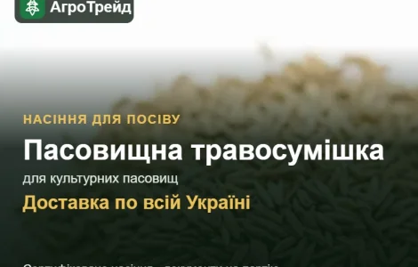 Пасовищная травосмесь для культурных пастбищ