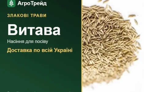 Купити насіння злакових трав Витава
