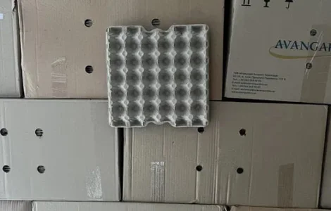 Лотки для яиц, сухие отобранные в ящиках