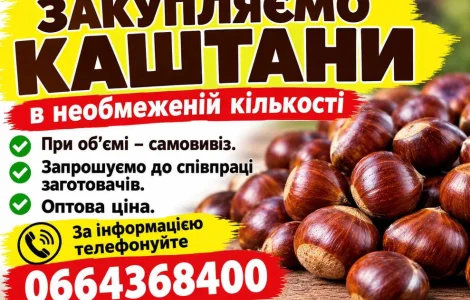 Каштаны в неограниченном количестве. Оптом