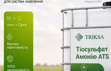 Triksa