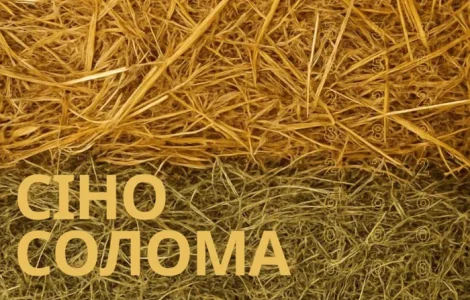 СОЛОМА, СІНО + Доставка