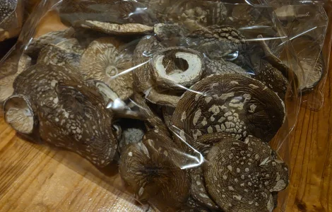 Продам пантерні мухомори