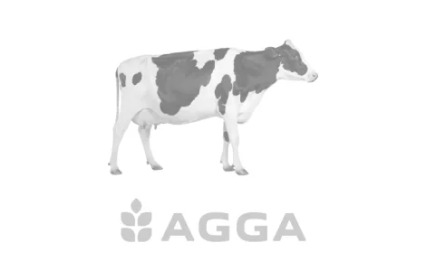 Зображення за замовченням категорії Різна худоба