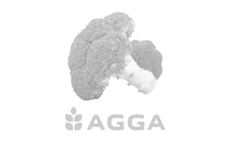 Зображення за замовченням категорії Буряк