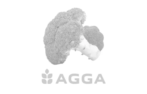 Зображення за замовченням категорії Різні гриби