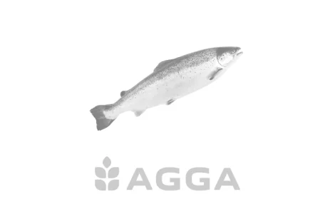 Зображення за замовченням категорії Ікра осетра