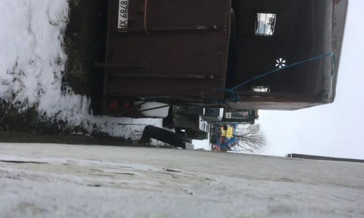 Причіп для перевезення коней ПР D-10 - фото № 1