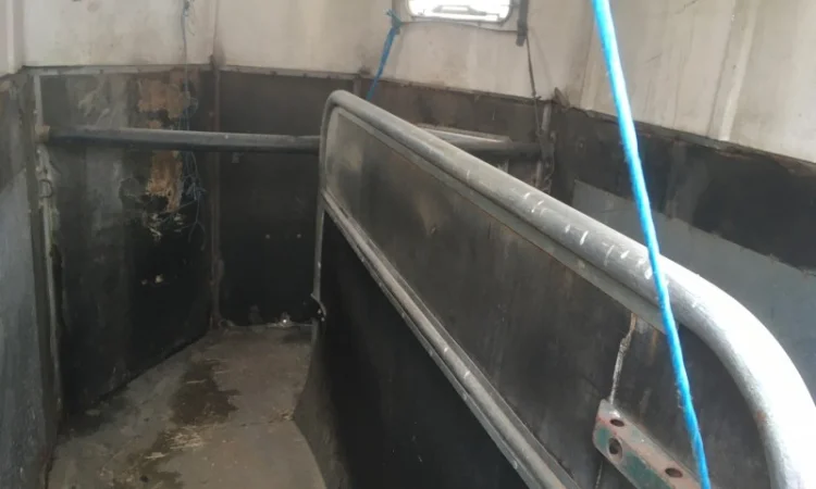 Причіп для перевезення коней ПР D-10 - фото № 4