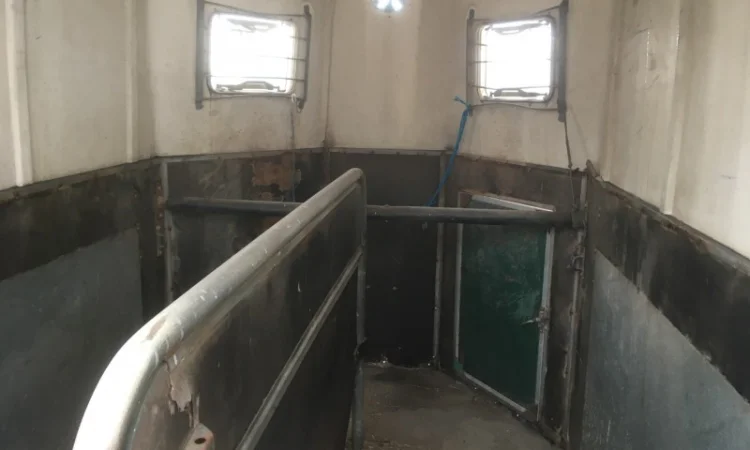 Причіп для перевезення коней ПР D-10 - фото № 5