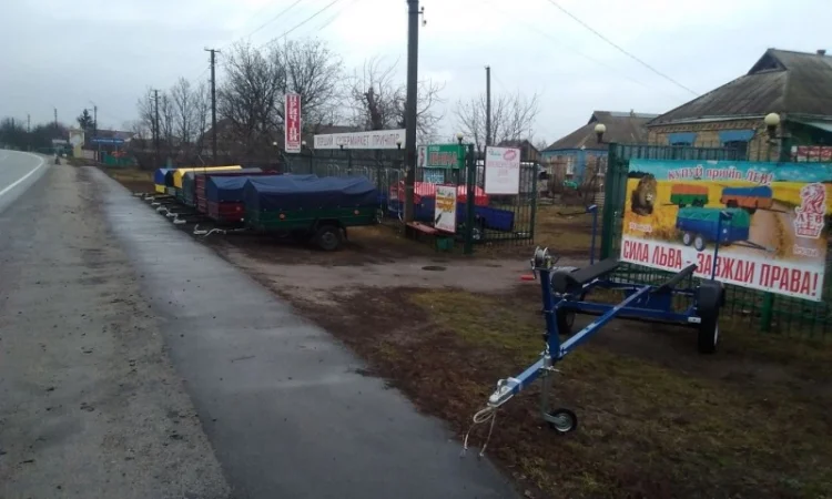 Прицеп легковой Лев 20 (в Зеленьках) - фото № 11