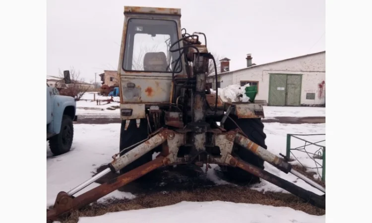 Карпатець пає-1 - фото № 1