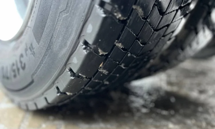 Тягач MAN TGX 18.480 - 2015 рік - фото № 15