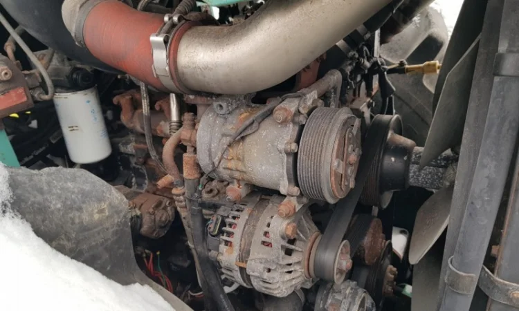 Грунтовий каток Amman 2011 року - фото № 9