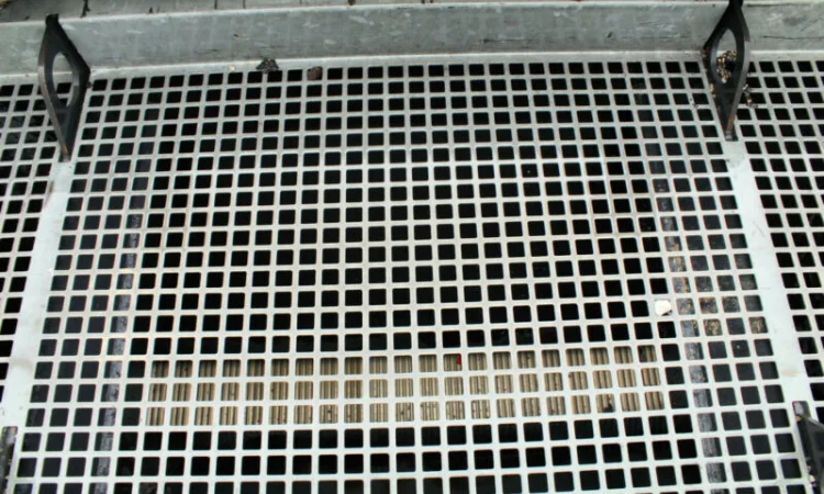 Комбинированный каток Bomag BW 174 AD-2M. Каток Bomag с разбрасывателем - фото № 10