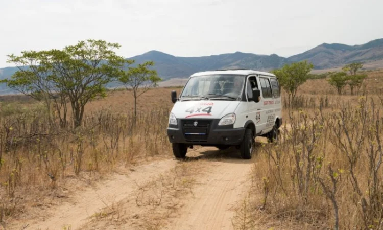 Автомобили семейства «ГАЗ» в Украине - фото № 8