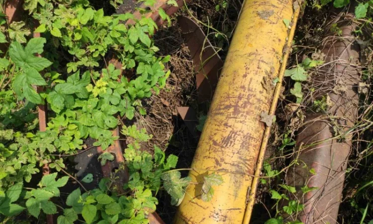 Робір автокран Краз 250 22т - фото № 7