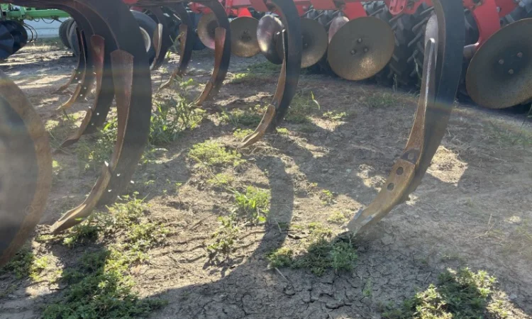 HORSCH Tiger MT4 важка дискова борона глибокорозпушувач - фото № 5