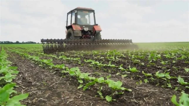 Эффективная борона МБР 6 ротационная МОТЫГА культиватор МБР-6 мотыга Применяется МБР-6 - фото № 2