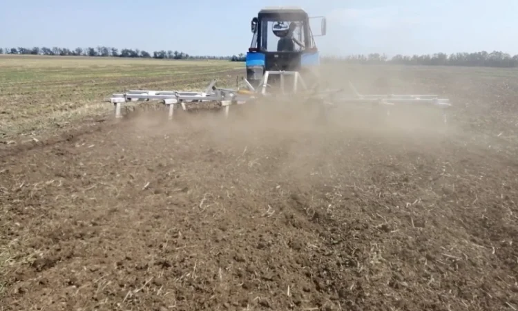 Роторно-зубовая борона - фото № 2