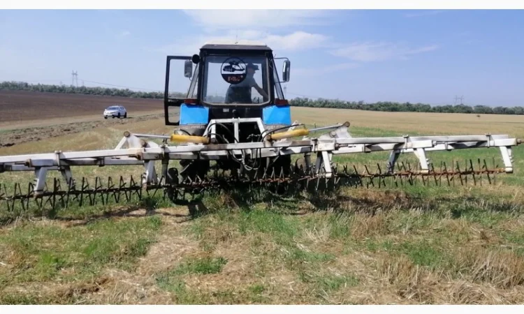 Роторно-зубовая борона - фото № 4