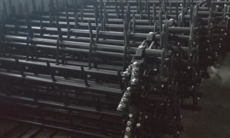 Борінка до Шлейфа Зубової Борони - фото № 6