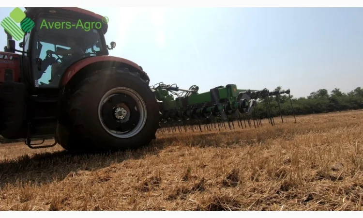 GREEN RAY 6, 5 М WTD - технология будущего уже сегодня - фото № 3