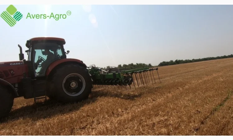 Штригельна борона с дисками GREEN RAY 6, 5 М WTD - фото № 1