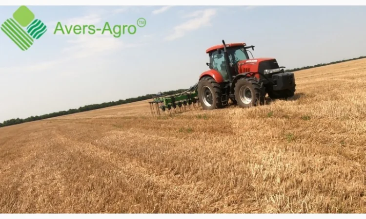 Тяжелая штригельная борона Green Ray WTD 6, 5 - фото № 2