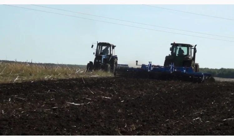 Борона дисковая тяжелая БДВ 6.9 - фото № 4