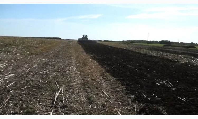 Борона дисковая тяжелая БДВ 6.9 - фото № 6