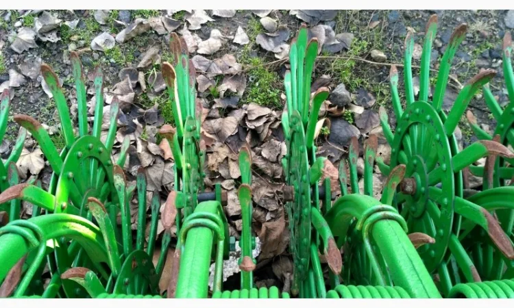 Ротационная борона мотыга JOHN DEERE 6 м. гидро НОВІ ЇЖАКИ - фото № 3