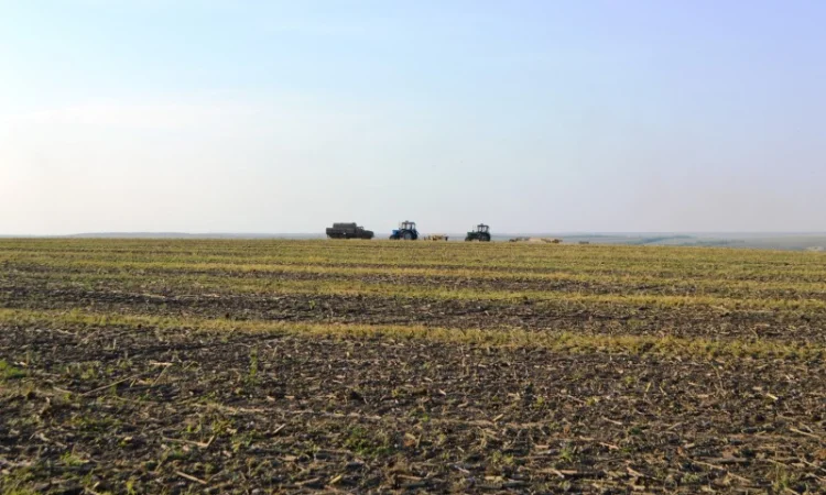 Каток измельчитель растений КЗК-10-04 - фото № 7