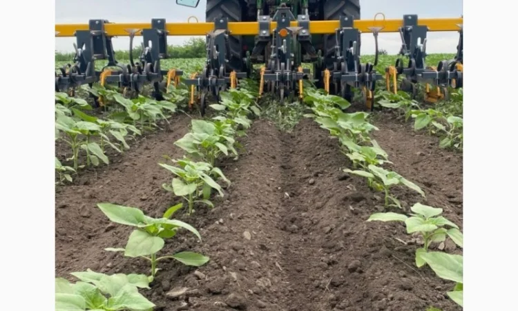 Культиватор міжрядний (просапний) 4, 2; 5, 6; 8, 2; 11, 6 метрів серії "Велес" - фото № 6