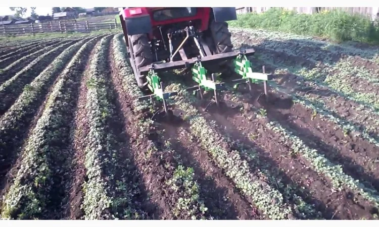 Окучник, культиватор міжрядний від 3 до 9 секцій Польща - фото № 3