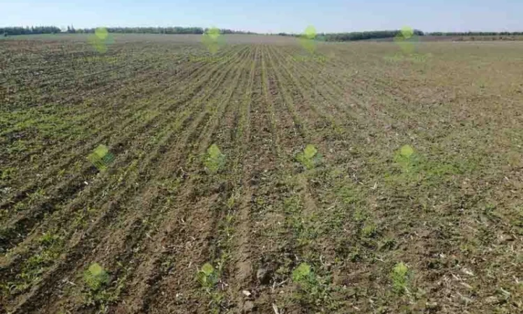 Verti-till турбокультиватор green wave 3, 9 м - фото № 4