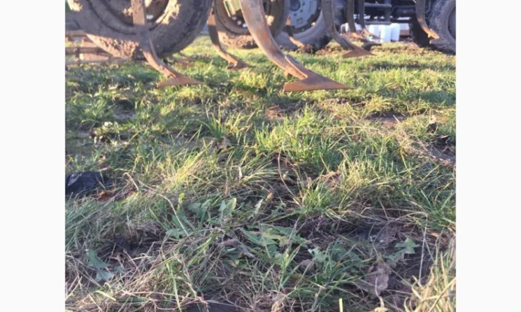 Причіпний культиватор - фото № 3