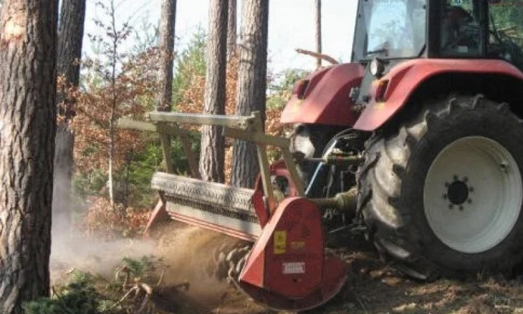 Лесной мульчер-ротоватор SEPPI MIDIFORST - фото № 2