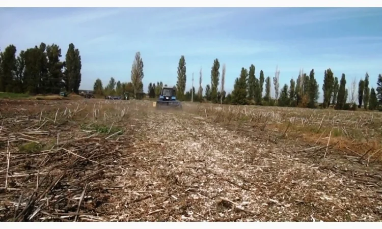 Мульчирователь растительных остатков мр 2.7 - фото № 5