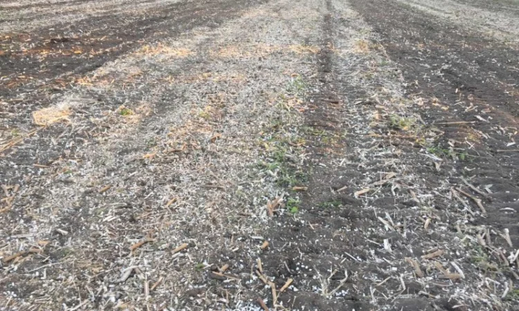 Каток измельчитель растительных остатков КЗК-6-04 - фото № 4