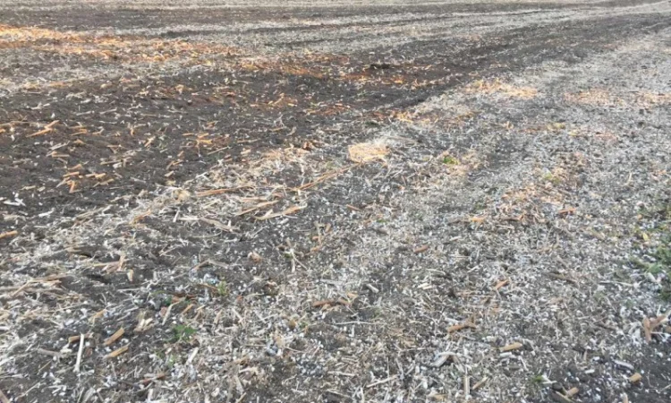 Каток измельчитель растительных остатков КЗК-6-04 - фото № 5