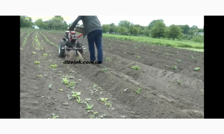 Окучник дисковий D370 регульований в комплекті зі сцепками - фото № 5