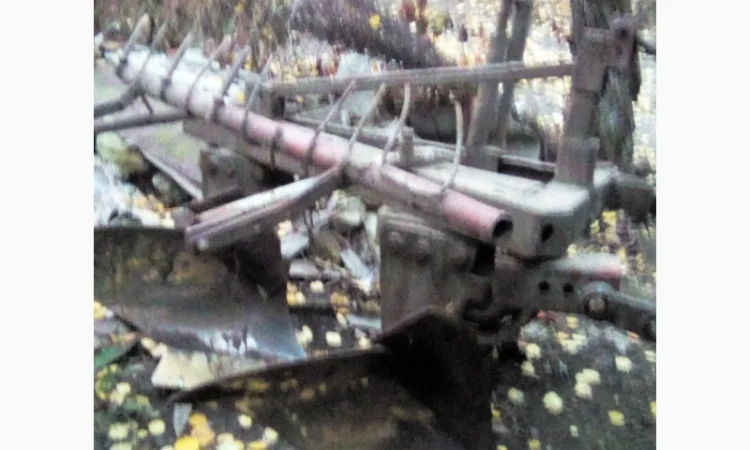 Пр. плуг 2х корпусный - фото № 4