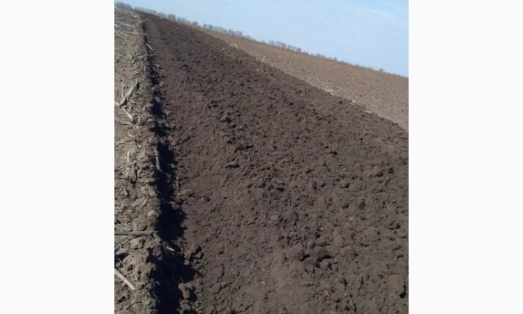 Оранка полів - фото № 2