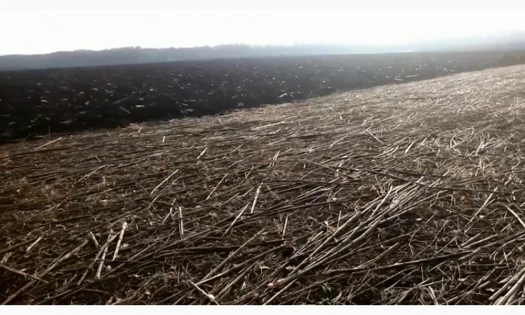 Плуг оборотный навесной ПОН-3 - фото № 8