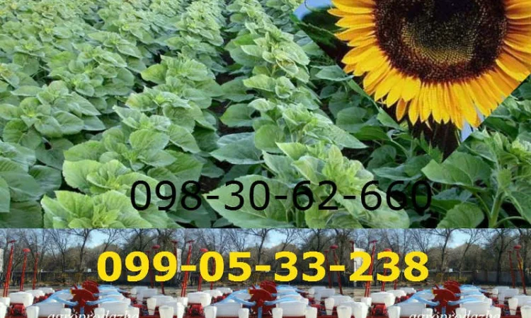 Сеялка СУПН-8 + модернизированная цена / продажа / Днепр - фото № 1