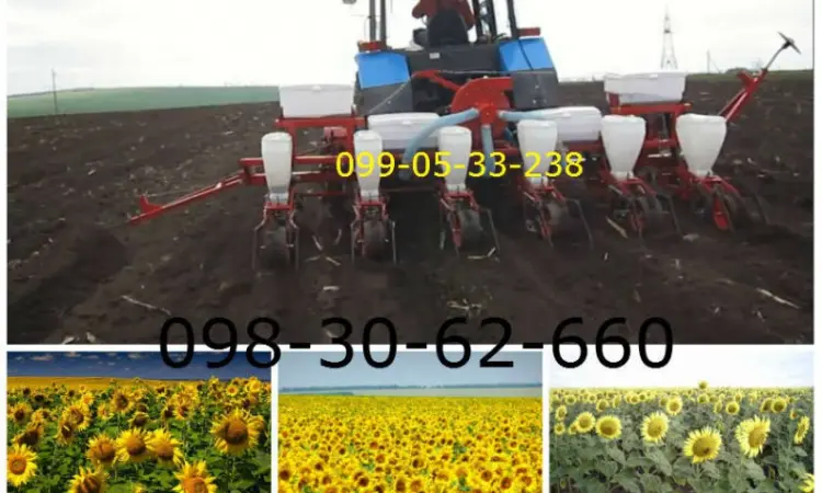 Купить сеялку СУПН-8 в Сумах. Сумы продажа Сеялка СУПН8-6 - фото № 1