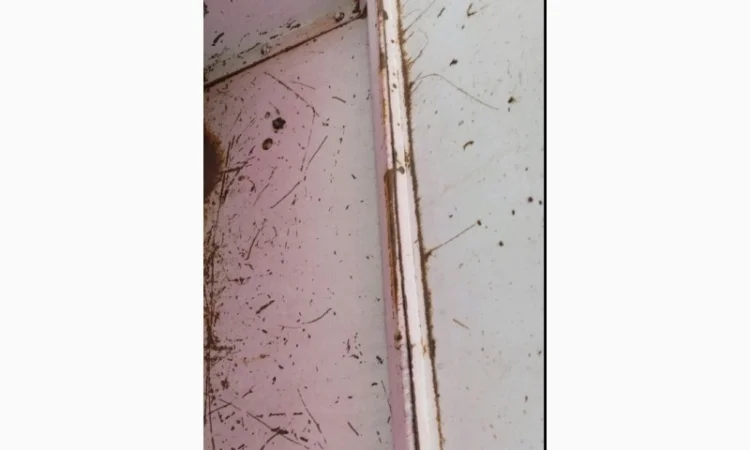 Продам сівалку сз 3.6 - фото № 2