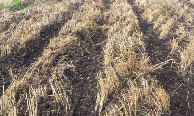 Очиститель рядка на сеялку John Deere 1745 - фото № 3