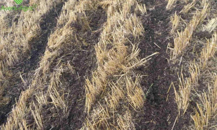 Очиститель рядка на сеялку John Deere 1745 - фото № 4